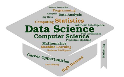 Bachelor of Science in Data Science and Analytics.